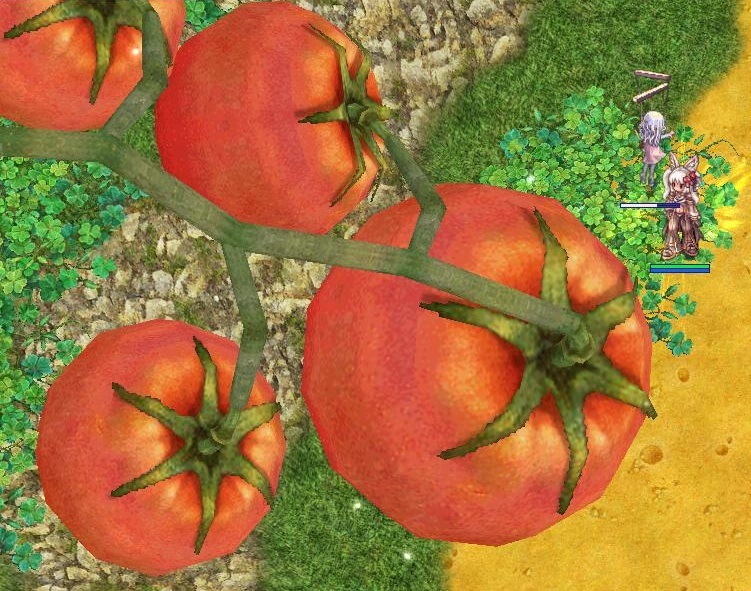 ドデカトマトたち