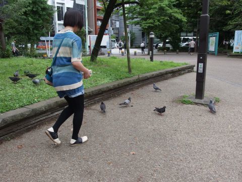 高3むすめ、上野公園でハトを追う。