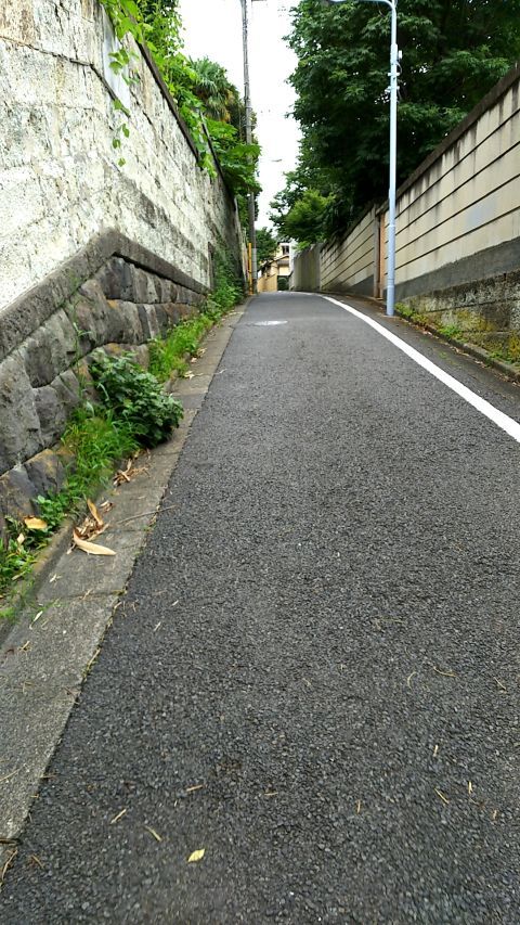 どうやらこの道が三浦坂っぽいのでゼイゼイ言いながら歩いているところです。