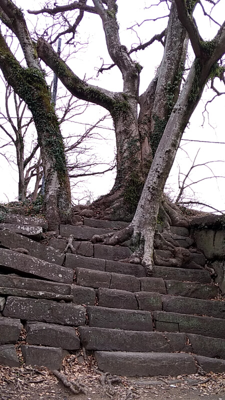 和歌山城　石垣