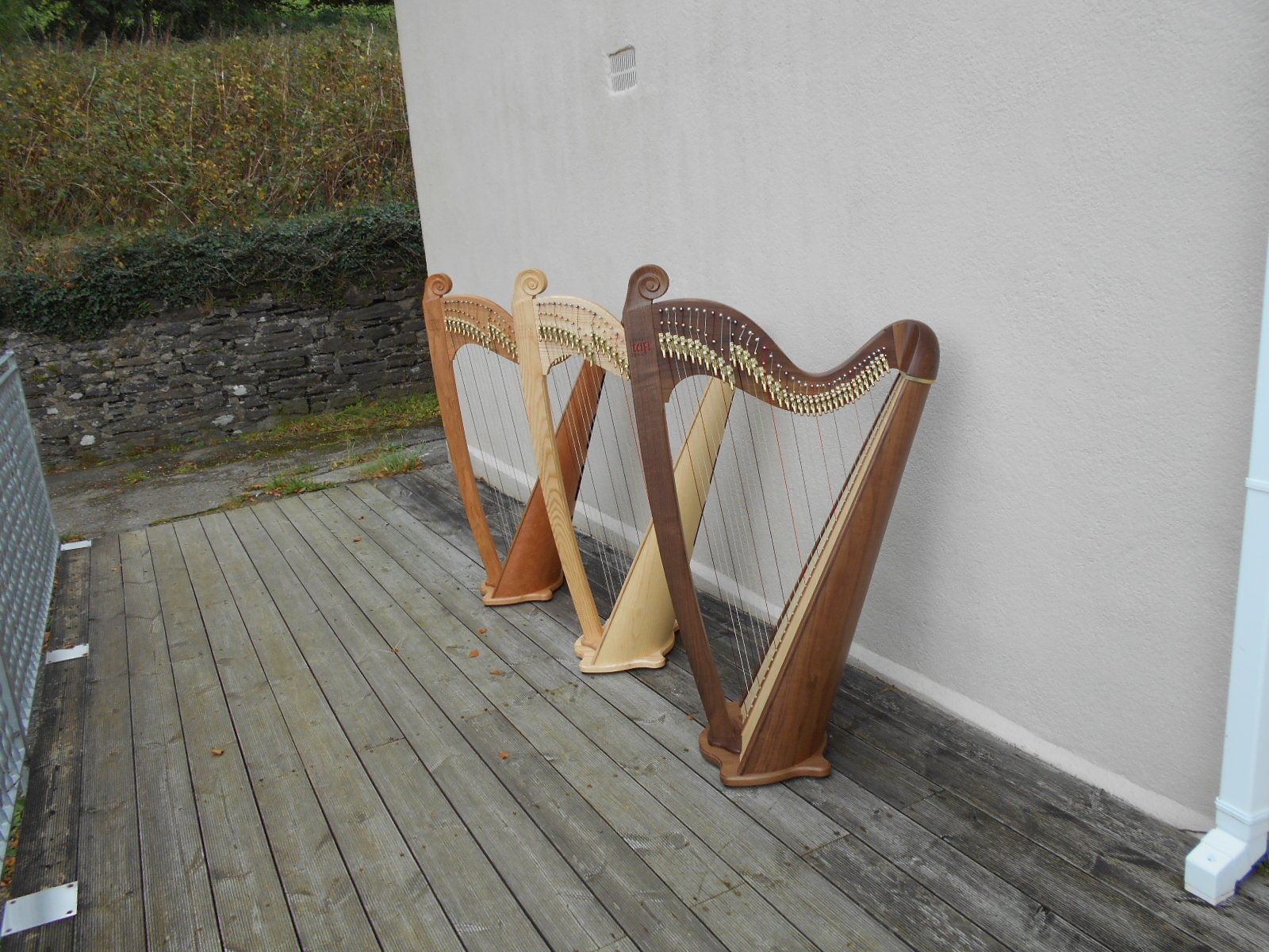 Japan harps