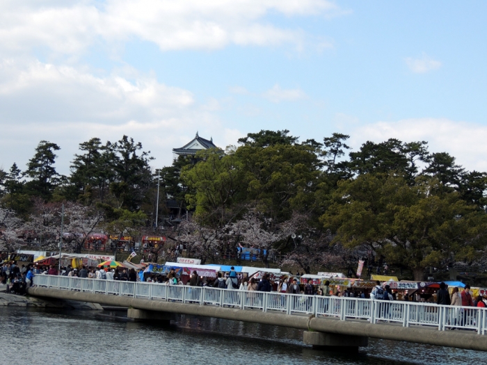 04.03岡崎城桜祭り