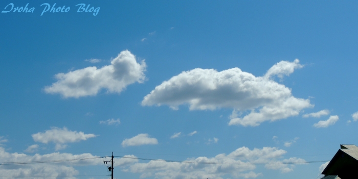 04.17白い雲