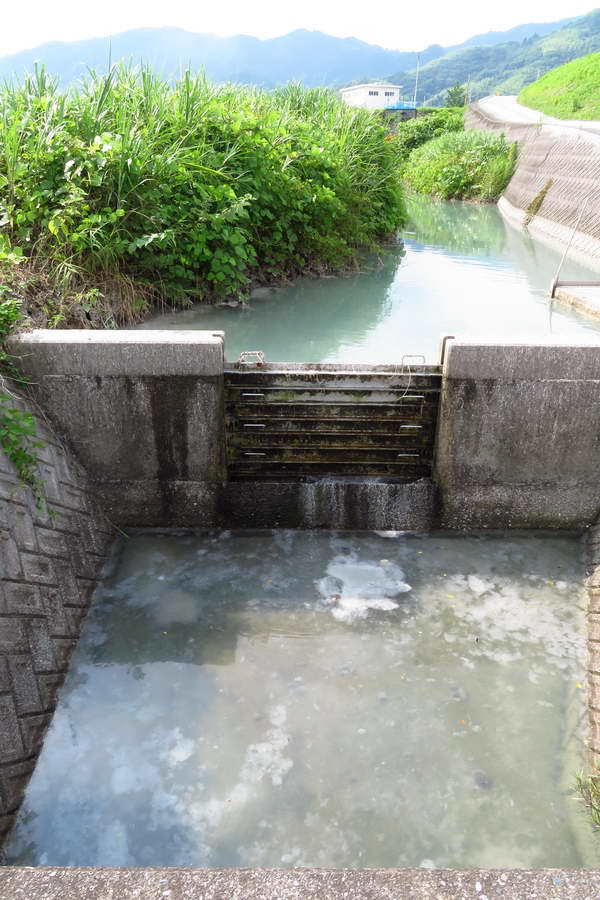 19-07-08相生川から排水2