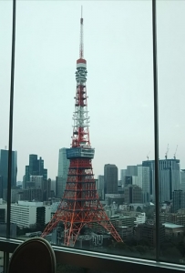 東京タワー31.2.19