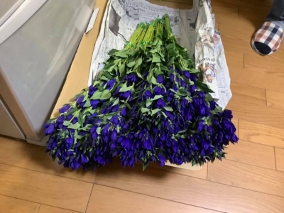 義妹の実家から花が届きます。